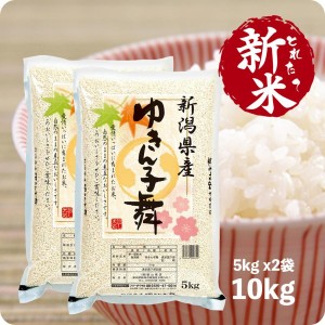 とれたて新米 10kg ゆきん子舞 お米 10キロ 令和6年産 新潟産 精米 白米 5kg x2袋 送料無料（沖縄のぞく）【送料無料】