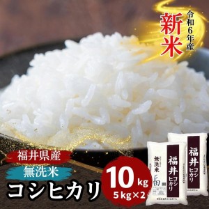 新米 米 無洗米 10kg 5kg×2袋 コシヒカリ 福井県産 白米 令和6年産 送料無料【送料無料】