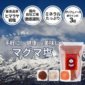 塩ソムリエ推奨   マグマ塩 料理用 1ｋg【送料無料】