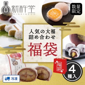 【福袋】人気の大福詰め合わせセット まるごと渋皮栗 4個 まるごとみかん 4個 栗大福 5個 栗三昧 5個 新杵堂 詰め合わせ お取り寄せ  プレゼント スイーツ【送料無料】