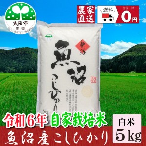 新米【農家直売】 ５ｋｇ 令和6年産 魚沼産コシヒカリ 精米 5Kg 安心安全 農家直送 信頼と品質のお米 魚沼市推奨コシヒカリ 送料無料【送料無料】