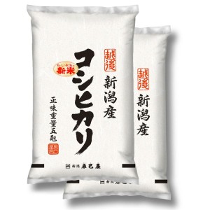 新米 お米 新潟県産 コシヒカリ 白米 10kg (5kg×2個) 令和6年産 【本州送料無料】【送料無料】