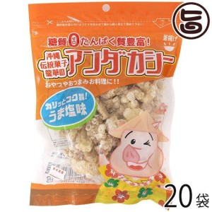 龍華のあんだかし〜 うま塩味 70g×20袋 油かす 糖質ゼロ 沖縄 人気 糖質制限 健康管理 MEC食 土産 アンダカシー【送料無料】