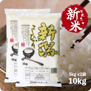 とれたて新米 10kg 新潟県産コシヒカリ お米 10キロ 白米 令和6年産 こしひかり 精米 白米 5kgx2袋 送料無料 (沖縄のぞく)【送料無料】