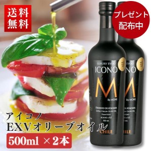 【期間限定プレゼント配布】エキストラバージン オリーブオイル ICONO(アイコノ)  FRUITY SPICY 500ml by MORE Chile 2本セット エクストラバージン【送料無料】