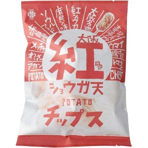 （15個セット）アイデアパッケージ 大阪紅ショウガ天ポテトチップス 100g ×15個（AT）（代引不可）（沖縄・離島への発送は不可）【送料無料】