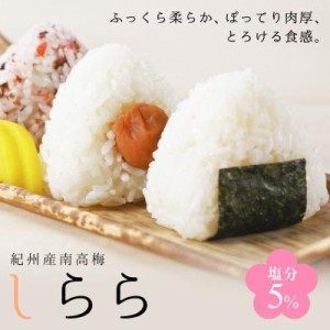 ふるさと納税 上富田町 【紀州産南高梅】しらら 1kg【送料無料】