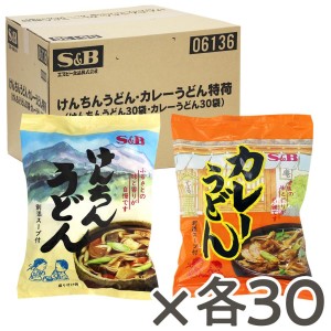 けんちんうどん カレーうどんセット（各30食入り）送料無料　秋冬向け エスビー 麺 インスタント 煮込みうどん 簡単 時短 大容量 まとめ買い エスビー食品公式【送料無料】