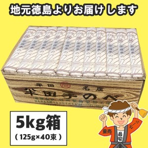 お中元 半田そうめん (手のべ) 5kg（125g×40束） 竹田製麺 ギフト包装可 徳島より発送 手延べ 素麺 にゅうめん 送料無料（北海道・東北・沖縄除く）【送料無料】